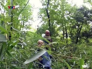 Thập Nhất hoàng tử - Tập 8